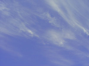 画像：北海道の風になる